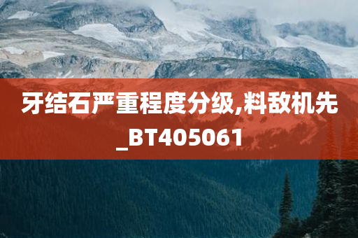 牙结石严重程度分级,料敌机先_BT405061