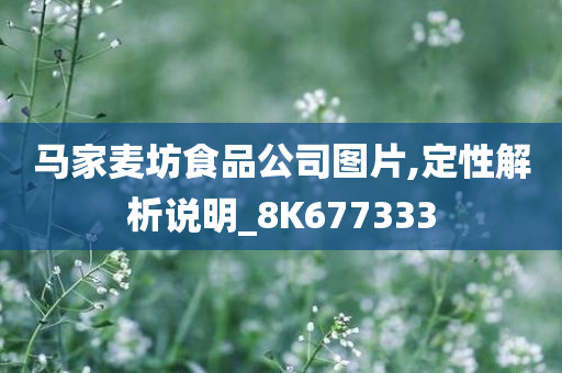 马家麦坊食品公司图片,定性解析说明_8K677333