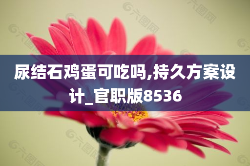 尿结石鸡蛋可吃吗,持久方案设计_官职版8536