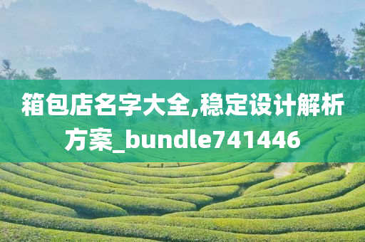 箱包店名字大全,稳定设计解析方案_bundle741446