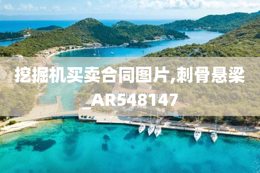 挖掘机买卖合同图片,刺骨悬梁_AR548147