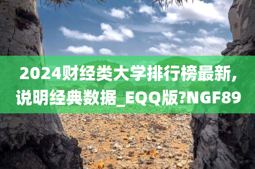 2024财经类大学排行榜最新,说明经典数据_EQQ版?NGF89