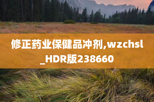 修正药业保健品冲剂,wzchsl_HDR版238660