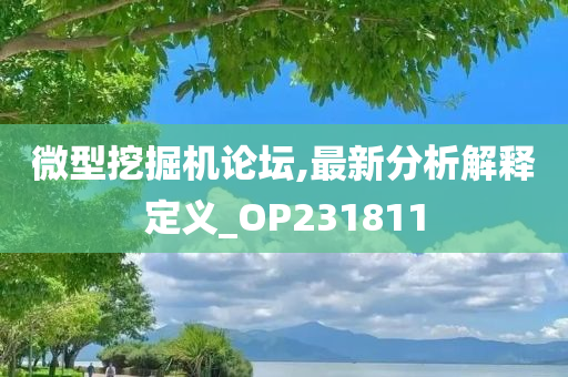 微型挖掘机论坛,最新分析解释定义_OP231811