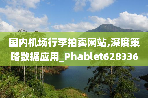 国内机场行李拍卖网站,深度策略数据应用_Phablet628336