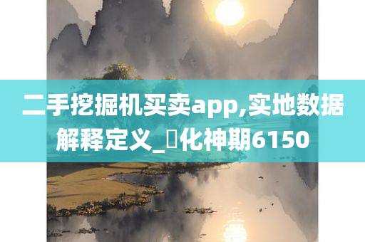 二手挖掘机买卖app,实地数据解释定义_‌化神期6150