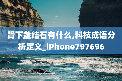 肾下盏结石有什么,科技成语分析定义_iPhone797696