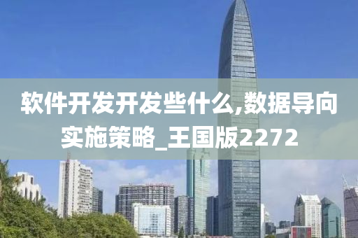 软件开发开发些什么,数据导向实施策略_王国版2272