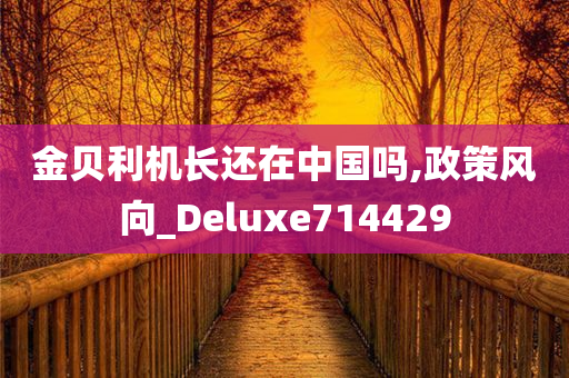 金贝利机长还在中国吗,政策风向_Deluxe714429