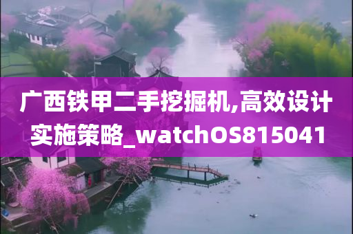 广西铁甲二手挖掘机,高效设计实施策略_watchOS815041