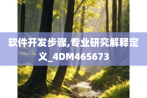 软件开发步骤,专业研究解释定义_4DM465673