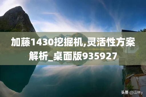 加藤1430挖掘机,灵活性方案解析_桌面版935927