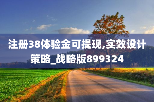 注册38体验金可提现,实效设计策略_战略版899324