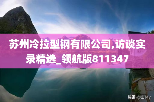 苏州冷拉型钢有限公司,访谈实录精选_领航版811347