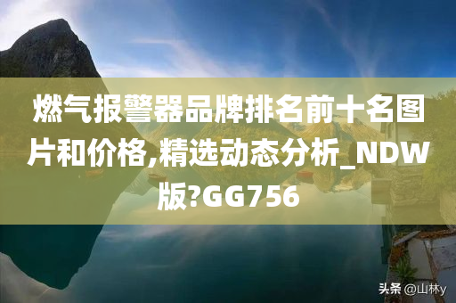 燃气报警器品牌排名前十名图片和价格,精选动态分析_NDW版?GG756