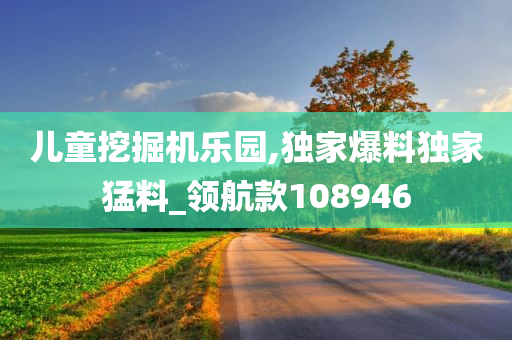 儿童挖掘机乐园,独家爆料独家猛料_领航款108946