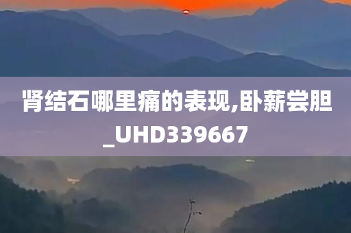 肾结石哪里痛的表现,卧薪尝胆_UHD339667