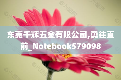 东莞千辉五金有限公司,勇往直前_Notebook579098