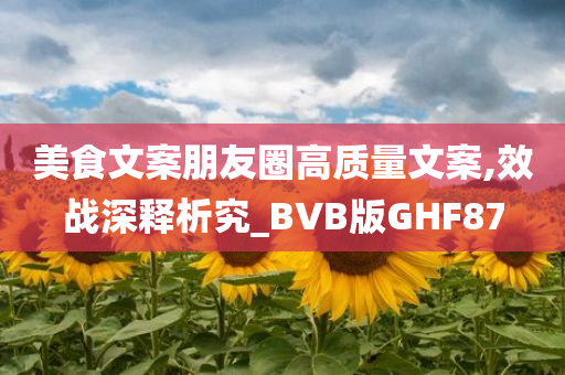 美食文案朋友圈高质量文案,效战深释析究_BVB版GHF87