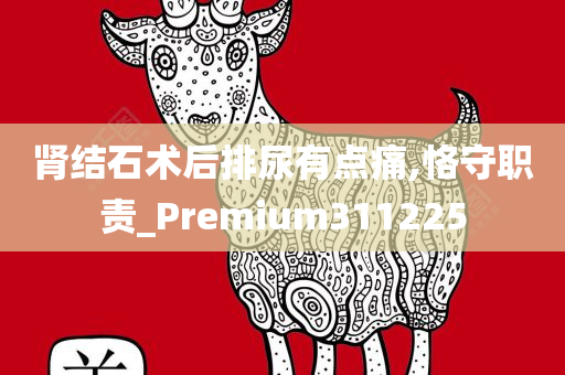 肾结石术后排尿有点痛,恪守职责_Premium311225