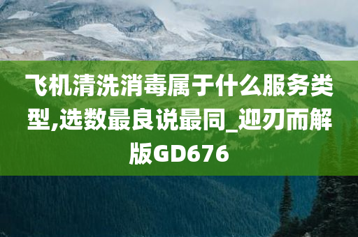 飞机清洗消毒属于什么服务类型,选数最良说最同_迎刃而解版GD676