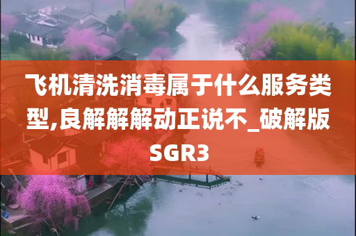 飞机清洗消毒属于什么服务类型,良解解解动正说不_破解版SGR3