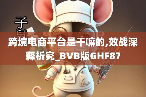 跨境电商平台是干嘛的,效战深释析究_BVB版GHF87