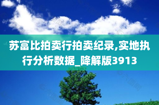 苏富比拍卖行拍卖纪录,实地执行分析数据_降解版3913