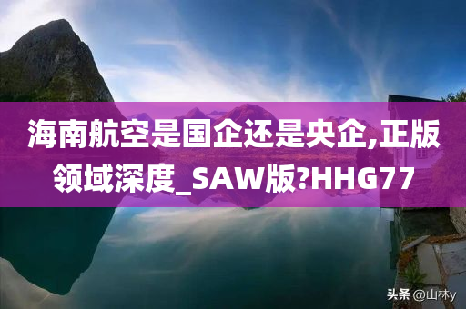 海南航空是国企还是央企,正版领域深度_SAW版?HHG77