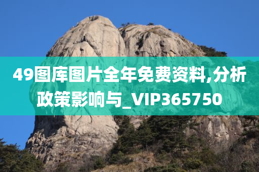 49图库图片全年免费资料,分析政策影响与_VIP365750