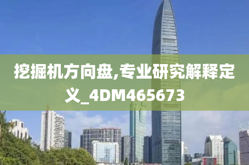 挖掘机方向盘,专业研究解释定义_4DM465673