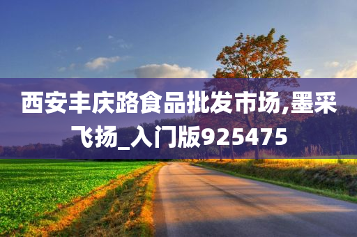 西安丰庆路食品批发市场,墨采飞扬_入门版925475