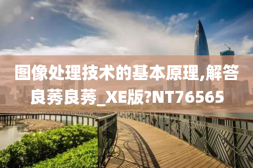 图像处理技术的基本原理,解答良莠良莠_XE版?NT76565