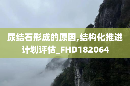 尿结石形成的原因,结构化推进计划评估_FHD182064