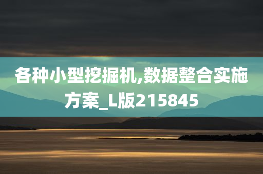 各种小型挖掘机,数据整合实施方案_L版215845