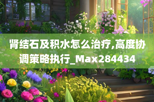 肾结石及积水怎么治疗,高度协调策略执行_Max284434