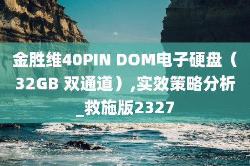 金胜维40PIN DOM电子硬盘（32GB 双通道）,实效策略分析_救施版2327