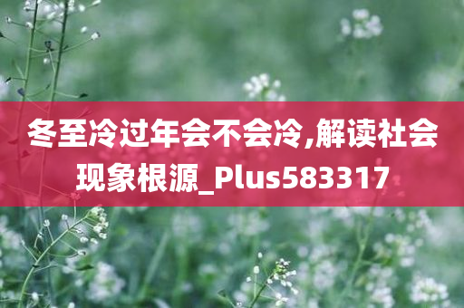 冬至冷过年会不会冷,解读社会现象根源_Plus583317