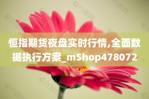 恒指期货夜盘实时行情,全面数据执行方案_mShop478072