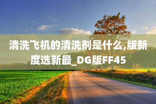 清洗飞机的清洗剂是什么,版新度选新最_DG版FF45