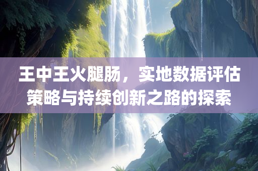 王中王火腿肠，实地数据评估策略与持续创新之路的探索