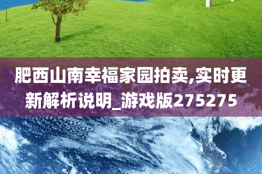 肥西山南幸福家园拍卖,实时更新解析说明_游戏版275275