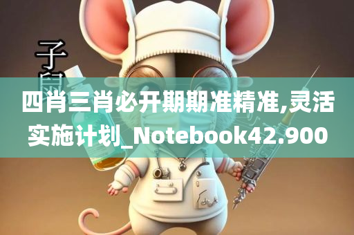 四肖三肖必开期期准精准,灵活实施计划_Notebook42.900