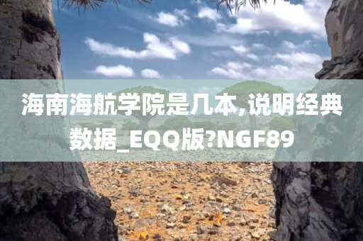 海南海航学院是几本,说明经典数据_EQQ版?NGF89