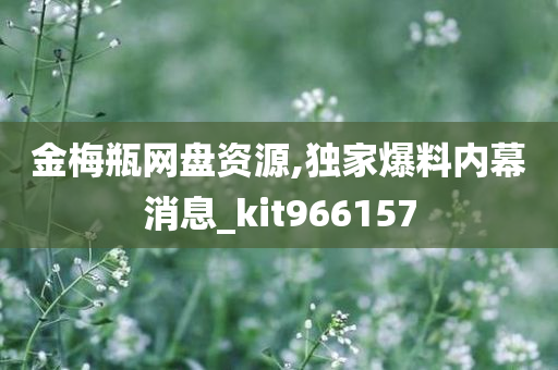 金梅瓶网盘资源,独家爆料内幕消息_kit966157