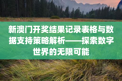 新澳门开奖结果记录表格与数据支持策略解析——探索数字世界的无限可能