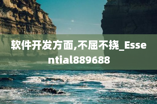 软件开发方面,不屈不挠_Essential889688