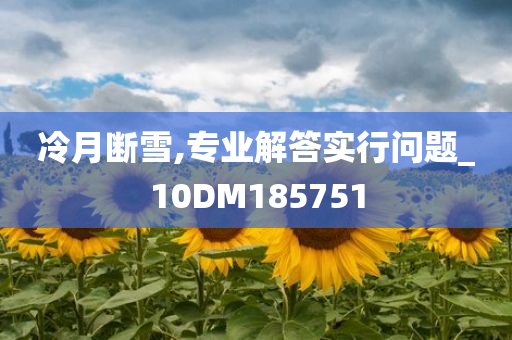 冷月断雪,专业解答实行问题_10DM185751