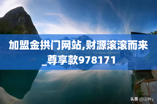 加盟金拱门网站,财源滚滚而来_尊享款978171