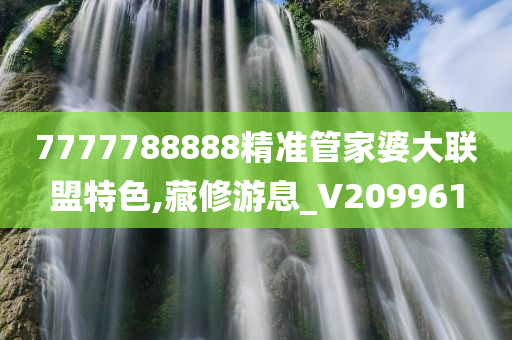 7777788888精准管家婆大联盟特色,藏修游息_V209961